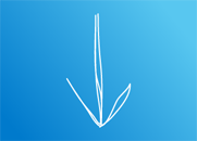 reduced-processing-fees