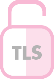 TLS lock icon