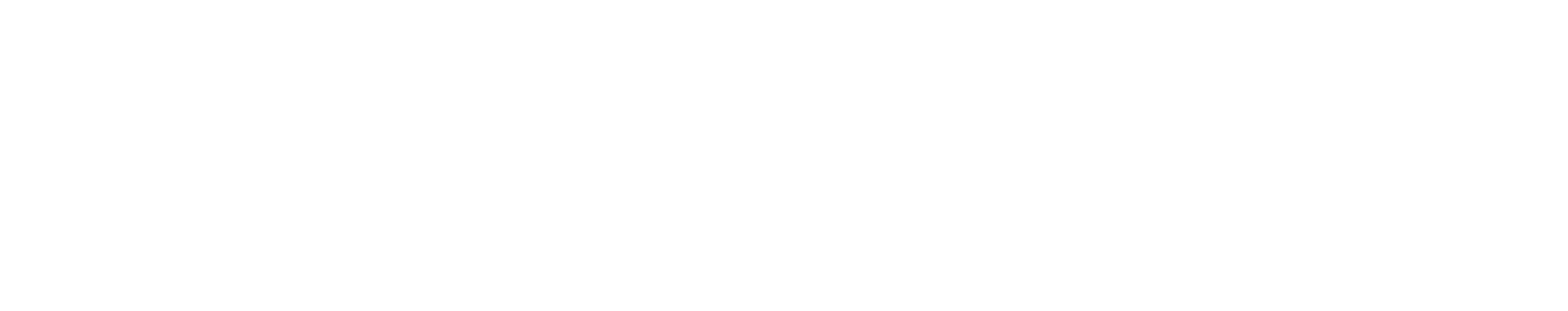 W_Horiz_EBizCharge