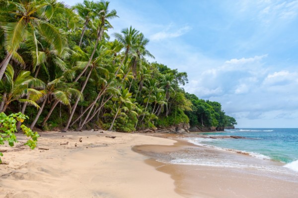 beach