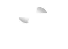 EBizCharge Logo